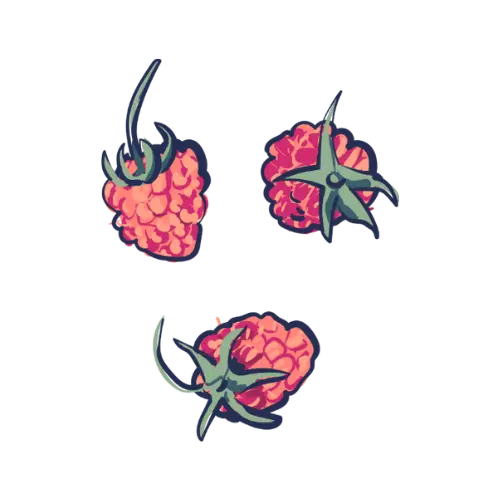 A drawn image of three raspberries
