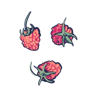 A drawn image of three raspberries
