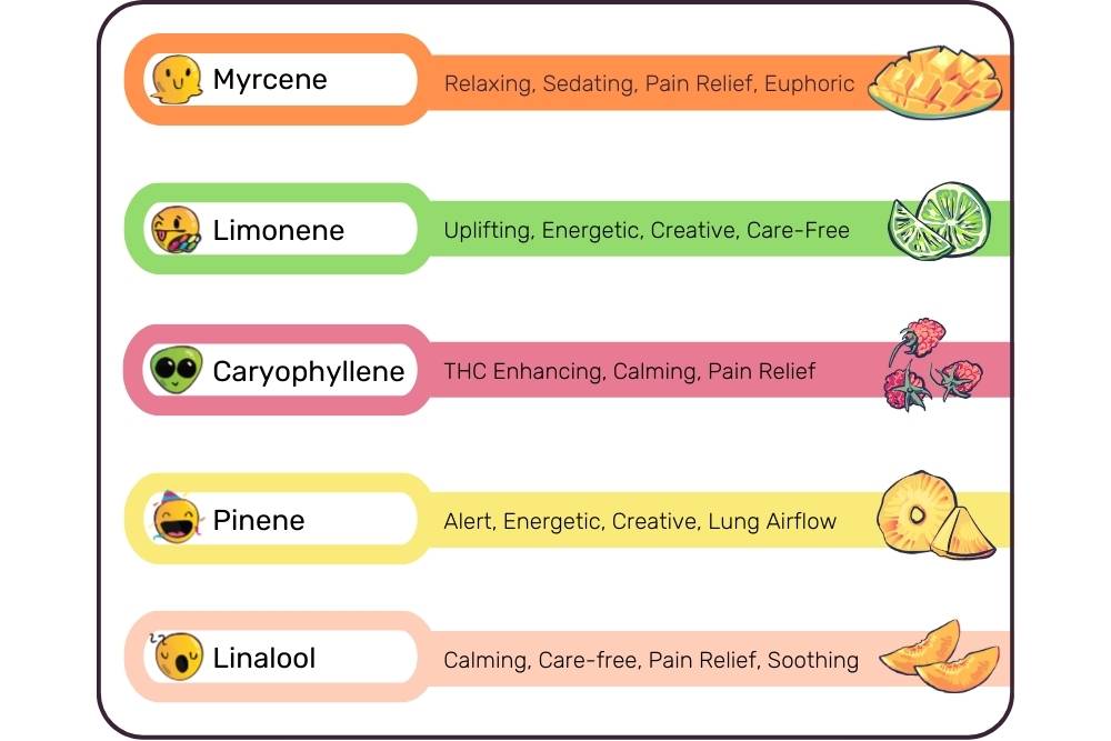 Terpene Box