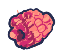 A drawn side profile of a raspberry